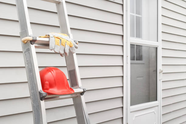 Best Steel Siding Installation  in Absecon Highlands, NJ