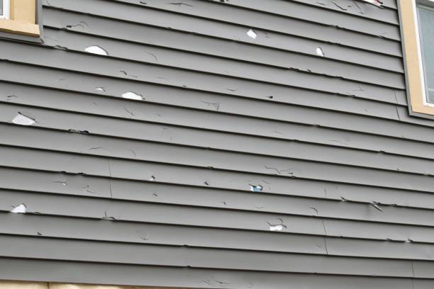 Best Siding for Commercial Buildings  in Absecon Highlands, NJ